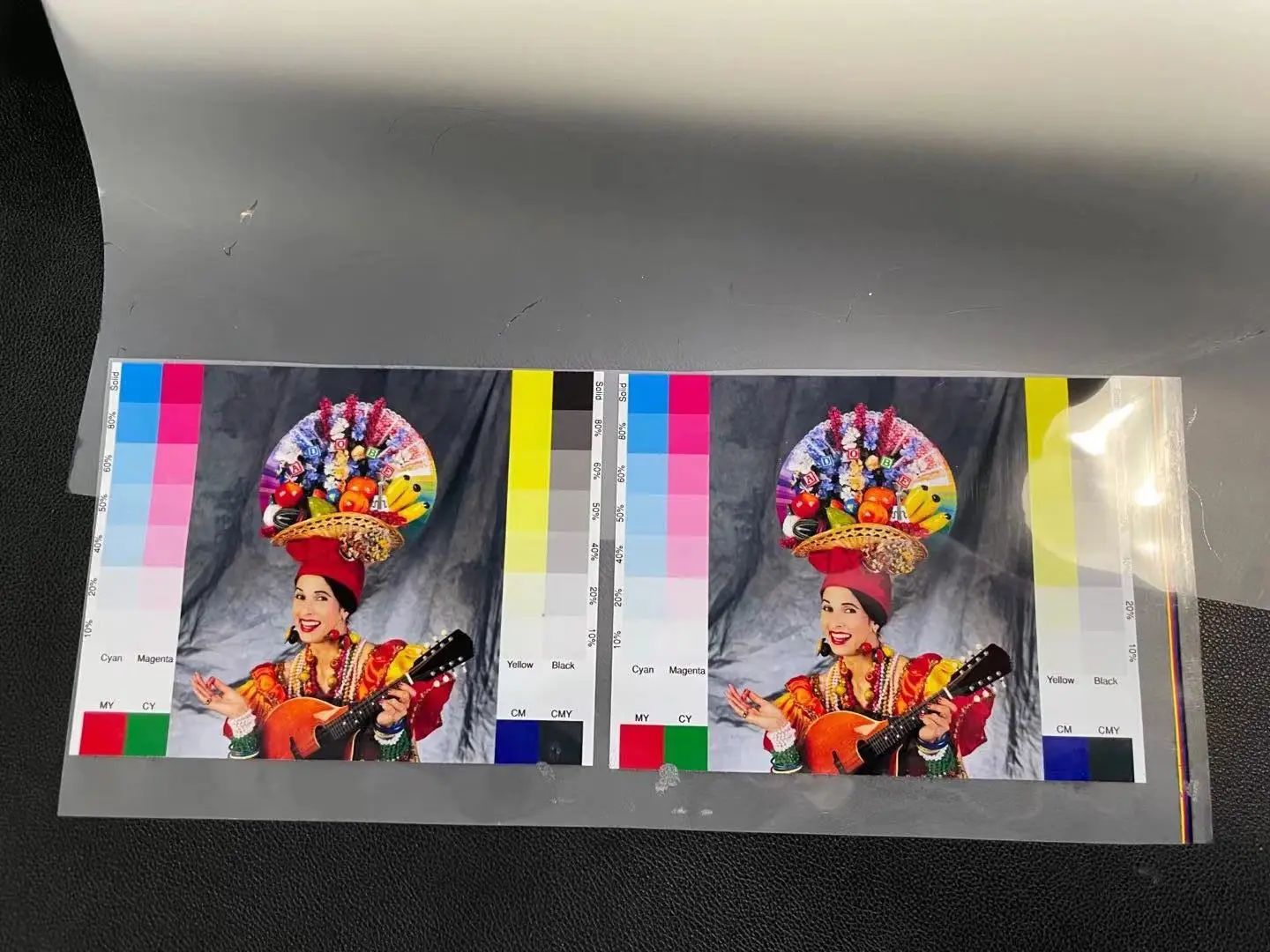 Professional Manufacturer Customizable Printing Film From China Supplier