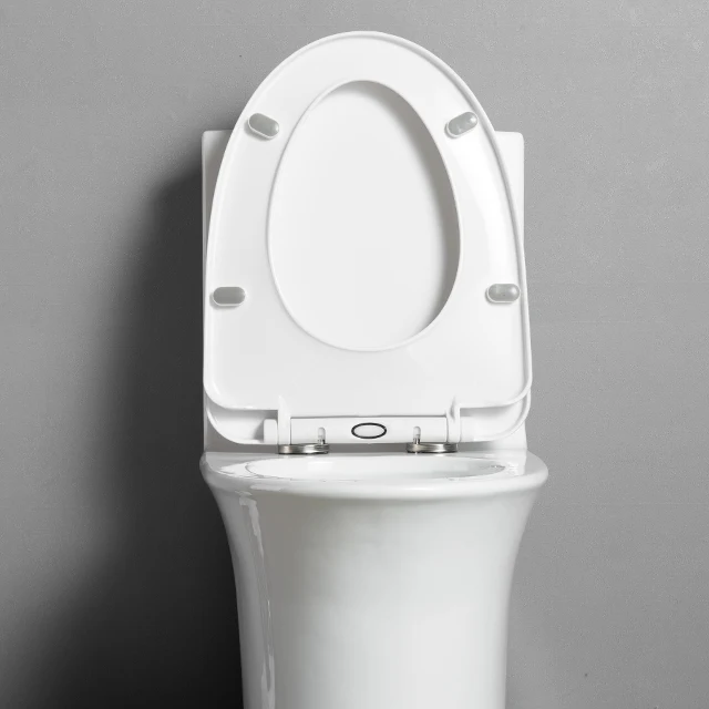 Fashionable Badkamer PP Cover Sitting Pan Closestool One Piece Bathroom Ceramic Toilets