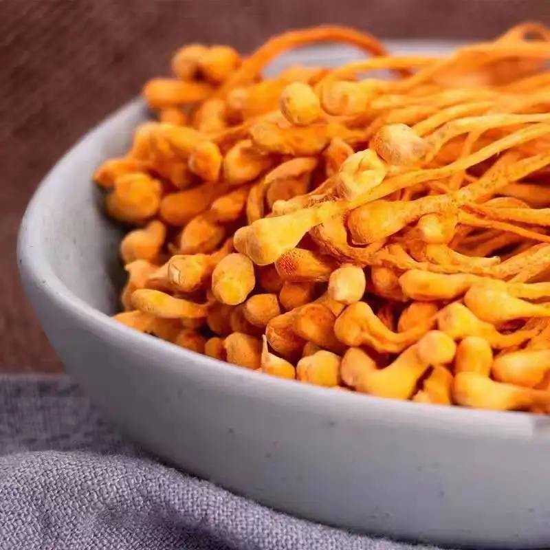 Air-dried Cordyceps Militars  En Boite Buy Cordyceps Flower Sinensis Frozen Cordyceps Militaris Natural
