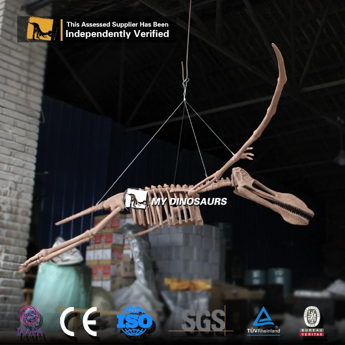 Лучший реалистичный каркас Велоцираптора MY DINO DS022 из