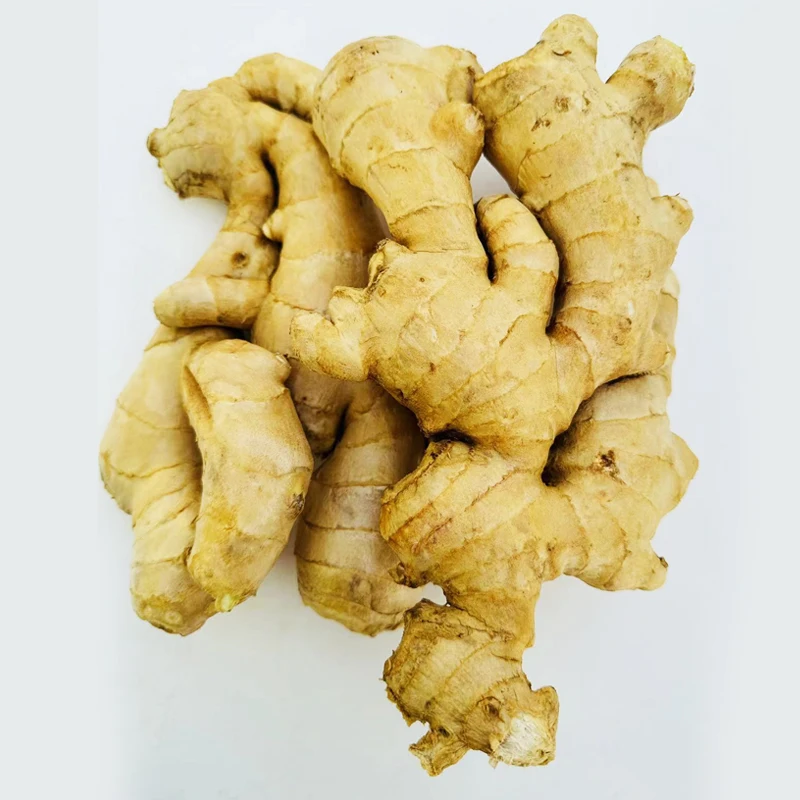 Competitive Price Nuisanceless Fresh Ginger Root Wholesale At Competitive Market Prices