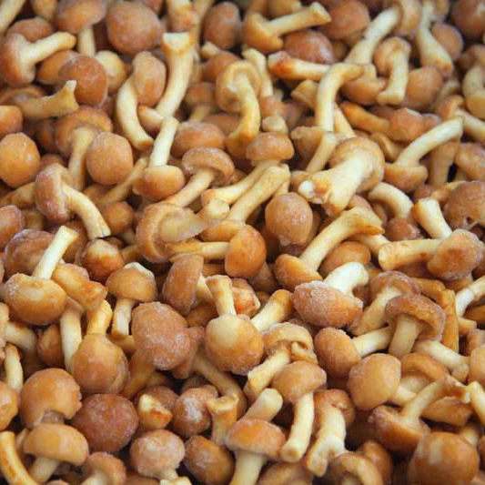 
2020 iqf frozen pholiota nameko mushroom 