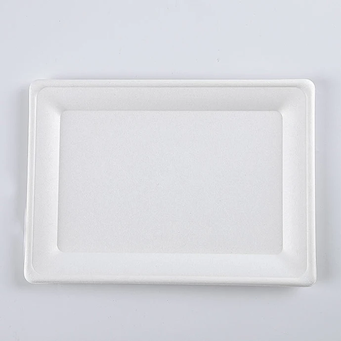 Disposable Biodegradable ODM oill proof Plate Dishes Tableware Natural Sugarcane Bagasse Sublimation sauce Paper Plates Dishes