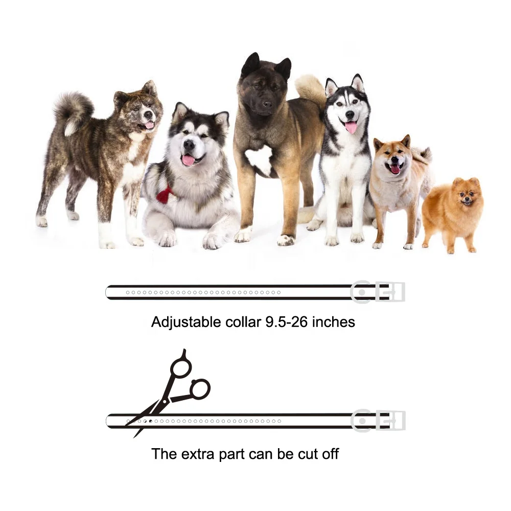 Rechargeable Dog Control Waterproof Remote Dog Control Training Slave Shock Collar