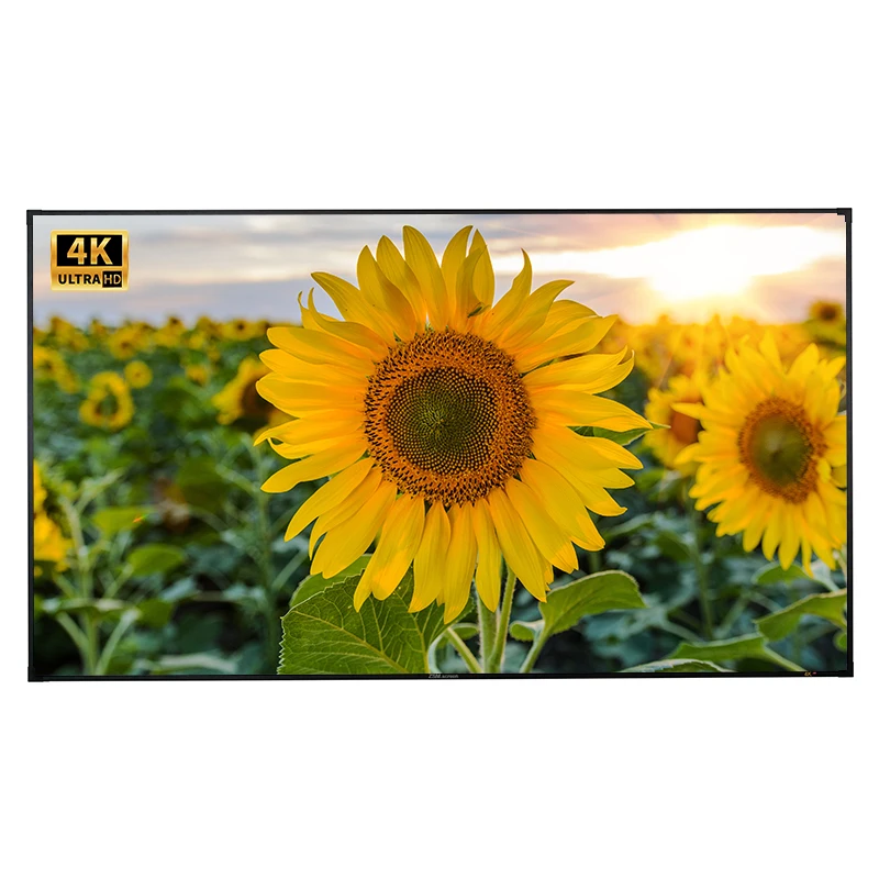 120Inch ZSMscreen FS660S Motorized Impact Home Projector Screen High-Density Durable Aluminium Frame 16:9 16:10 Acoustic Style
