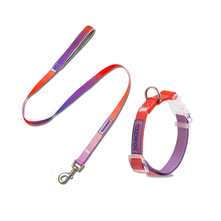 All kinds of pet leashes chain pet dog leash harness pet leash rope