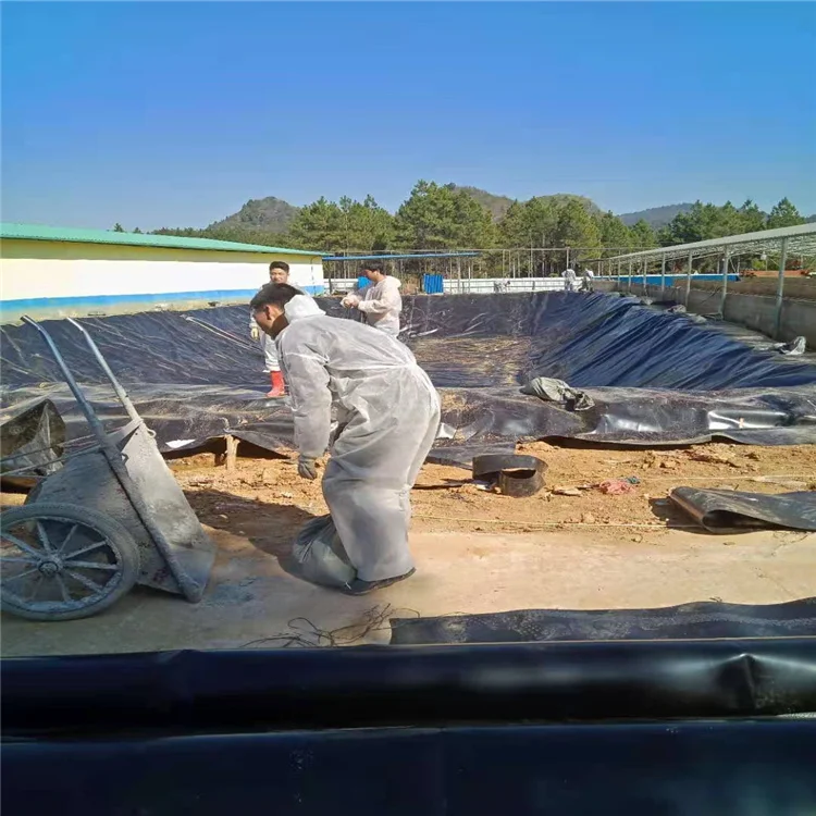 Непроницаемый hdpe сельскохозяйственный пруд вкладыш 2 мм Водонепроницаемые геомембраны бассейны для пресной воды цена