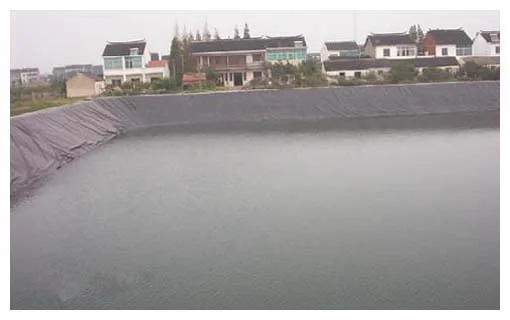 Geomembrane for Aquaculture, fish/shrimp pond liner, slope protection, sea cucumber circles