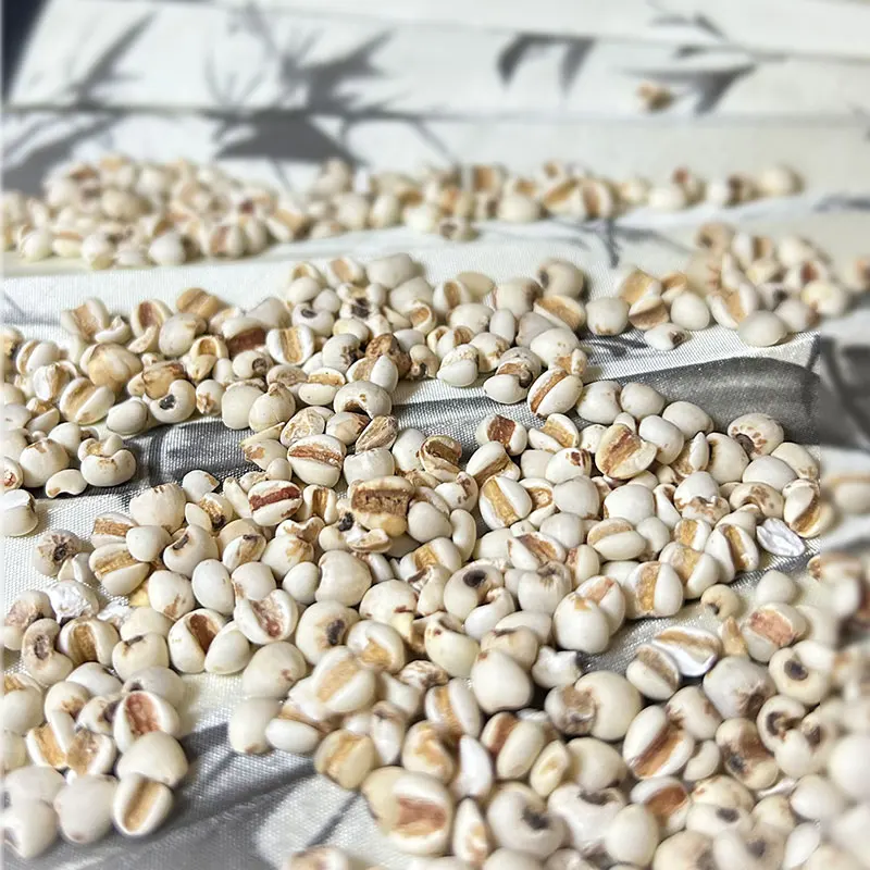 High Quality Organic White Chia Seeds Grain For Food Use Packed In 1Kg Barley rice