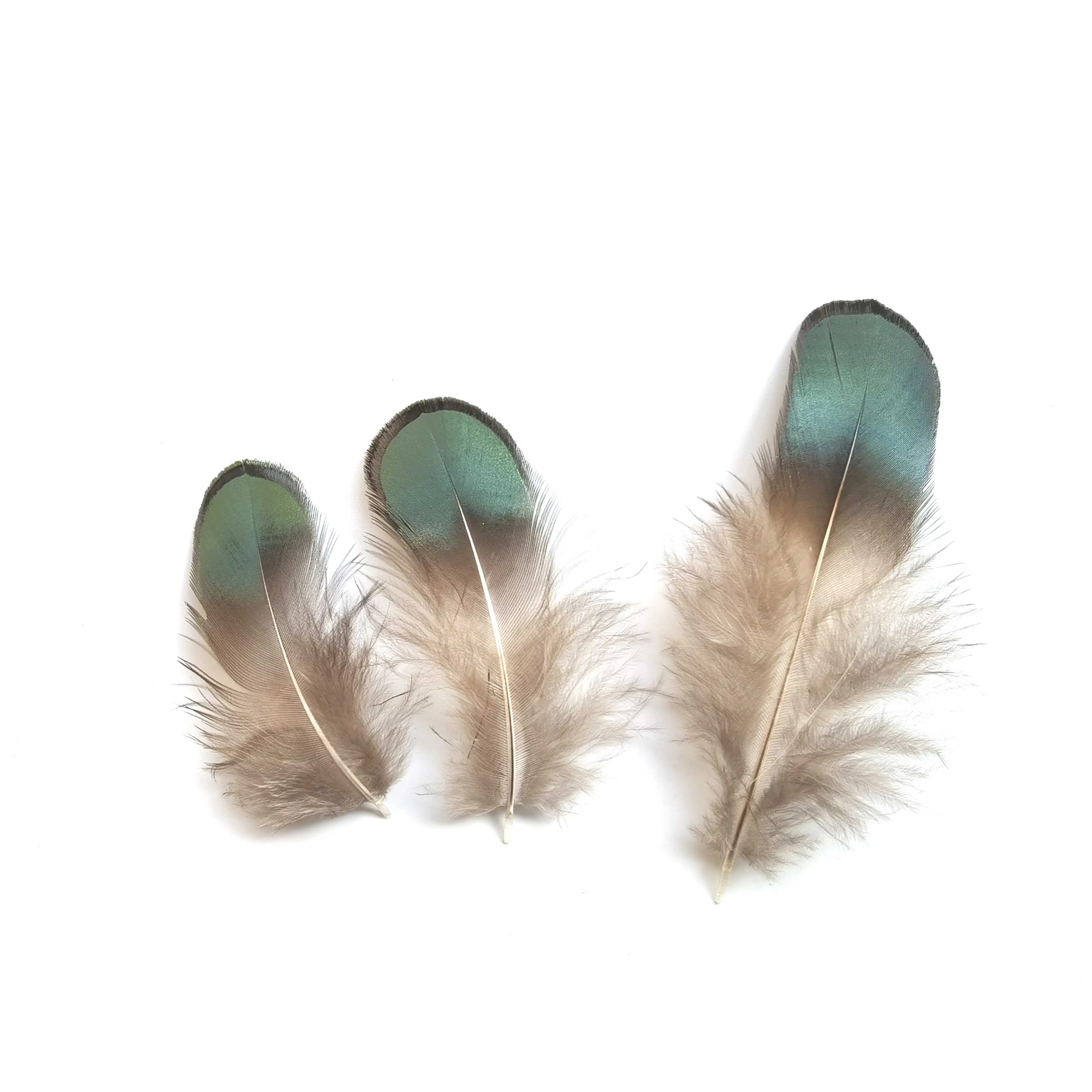 Happy Feather 100 pcs Green Pheasent Plumage Feather For Sewing Crafts Clothing Decorating Accessories