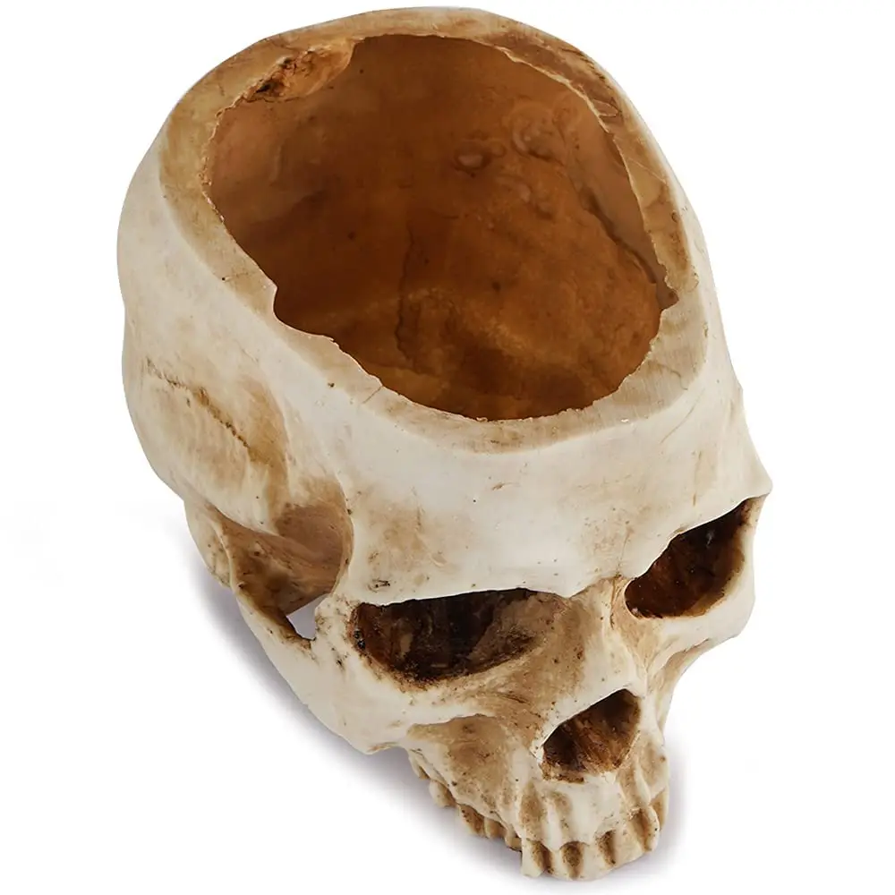 Home Office Desk Decor Skull Planter Resin Skull Flower Pots For Halloween Ornaments