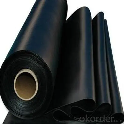 Fish Pond Liner High Quality Reinforced and Texture Hdpe Waterproof Geomembrane 4m/6m Plastic 15mm Plastic Fish Pond Liner