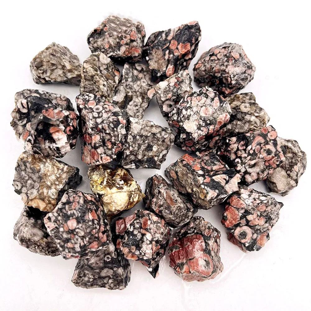 High quality mix color gemstone wholesale rough natural crinoid raw stone for mineral specimen