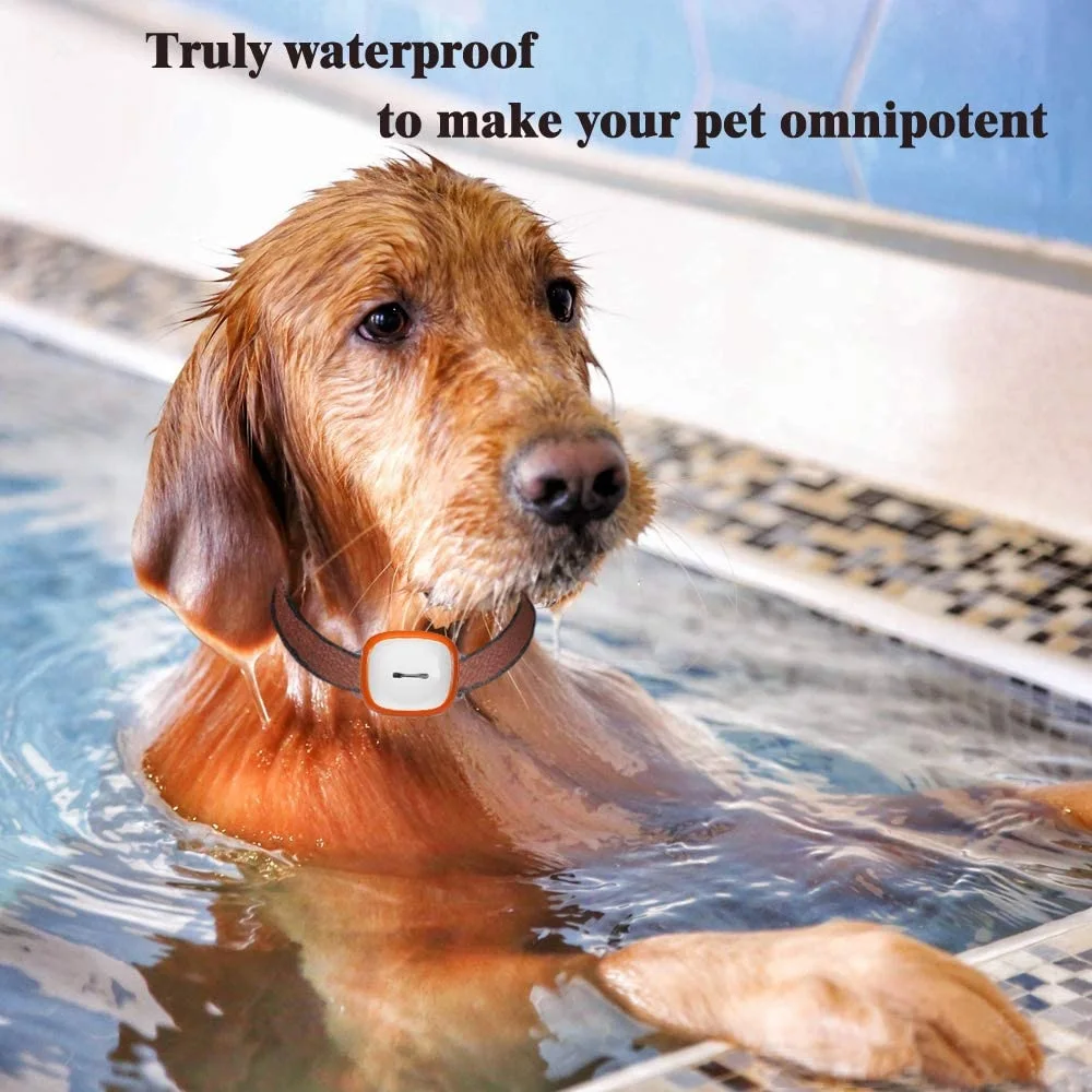  Собак и домашних животных Finder водонепроницаемый активности монитор отслеживающее устройство для собак кошек детей старших пульт дистанционного управления GPS трекер