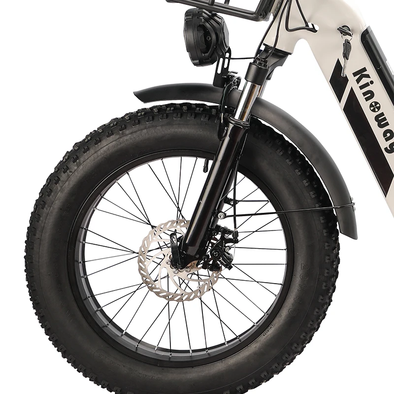 Top rated electric bicycle e bikes radrover 6 plus fat tire electric bike-rad 20 inch retro fat tire electric bike womens