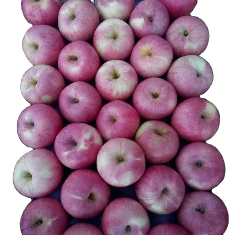 
chinese fresh fruit pink qinguan apple fresh red qinguan apple export to india 