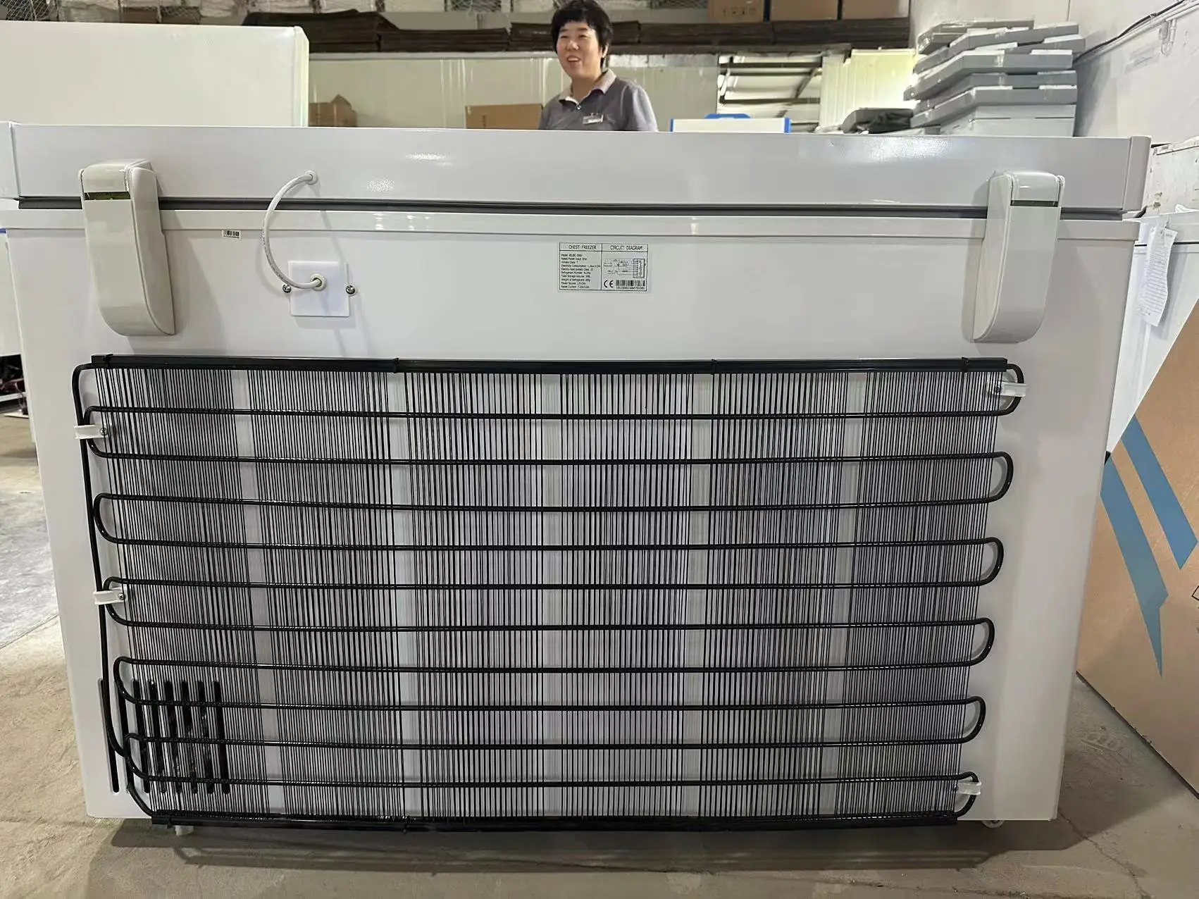 CKD Solar chest freezer Saudi Arabia Off grid 308L  DC 24V Power Saving Commercial Thickness 110mm Foam upright Freezers