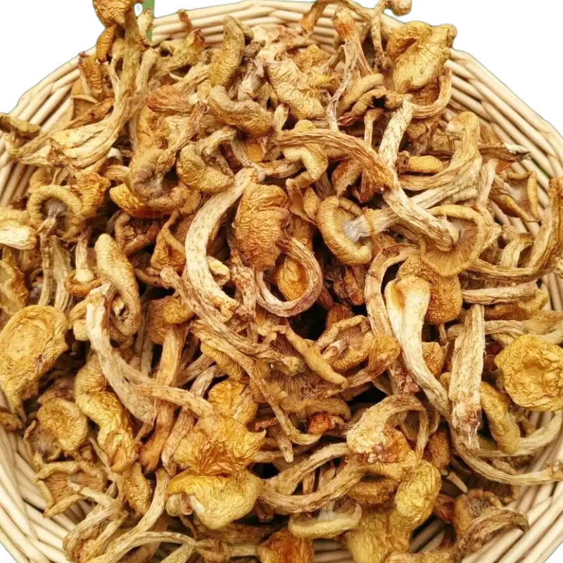 2022 Заводская оптовая цена сушеный pholiota nameko слайдер гриб для продажи