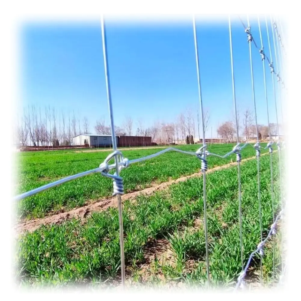 Heavy-Duty Galvanized Wire Mesh for Robust Deer and Game Fencing on Rural Lands