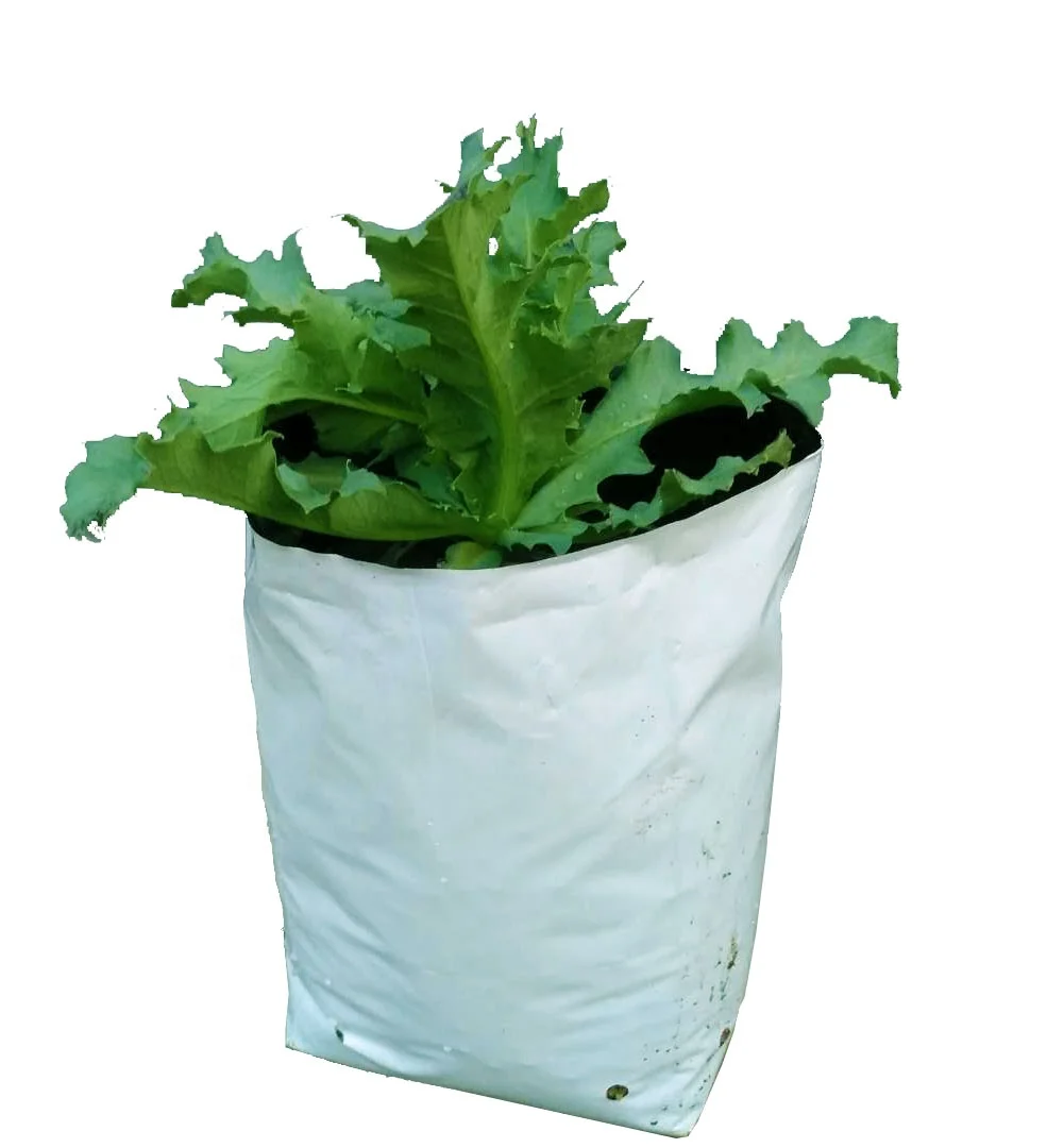 UV Treated Hydroponic White Black Panda Poly Grow Bags for vegetable planter, tree seedlings, fruit plant nursery