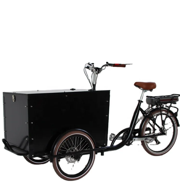 2023 семейное детское сиденье с толстыми шинами трехколесный электрический велосипед Электрический Грузовой Велосипед электронный собакой и кошкой