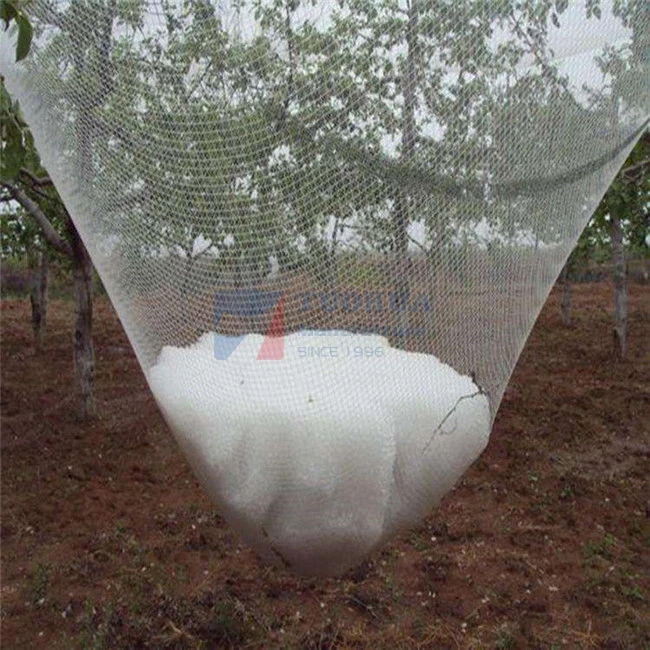 anti hail net foe garden plant anti hail net plant protection net
