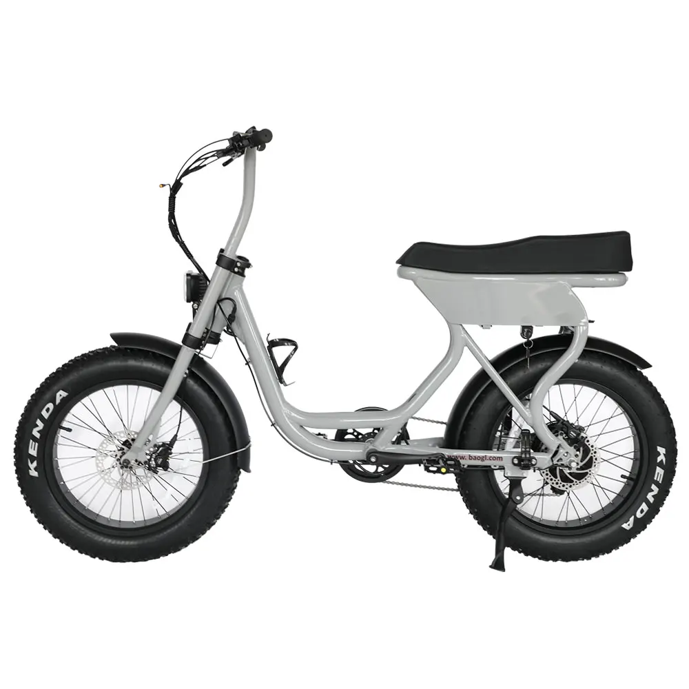 OEM good price customized 48V10AH Lithium Battery fatbike all terrain vehicle electric bicycle