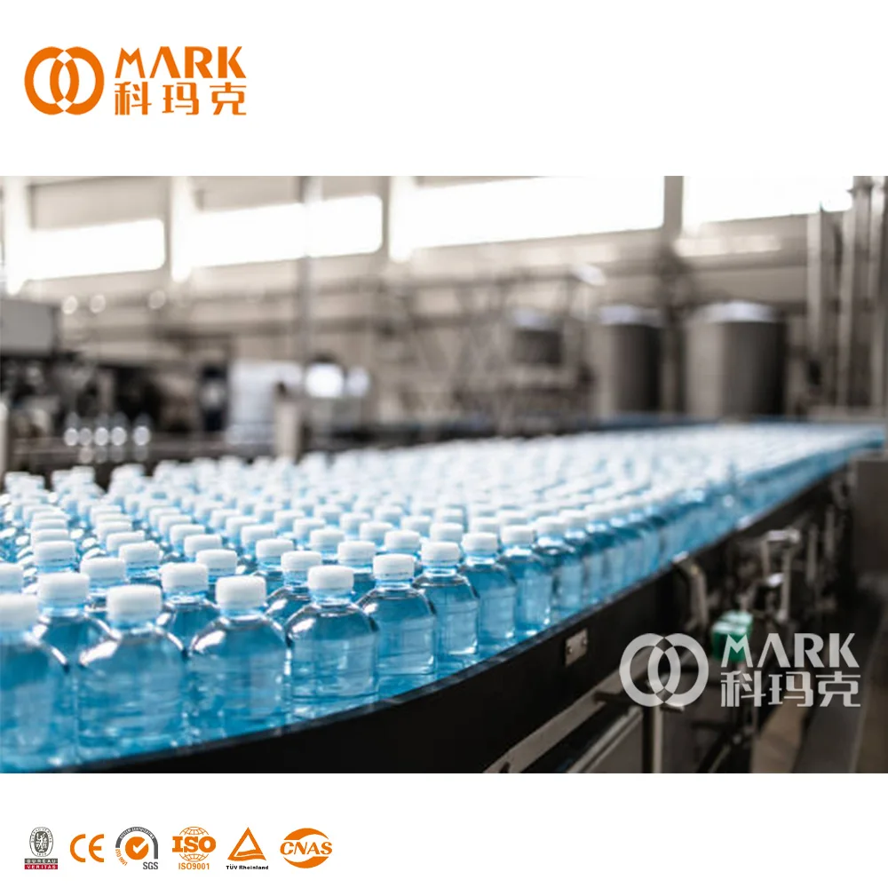 Full Set Complete Plastic Small Bottle Drinking Mineral Water Production Line / PET Bottle Water Filling Machine