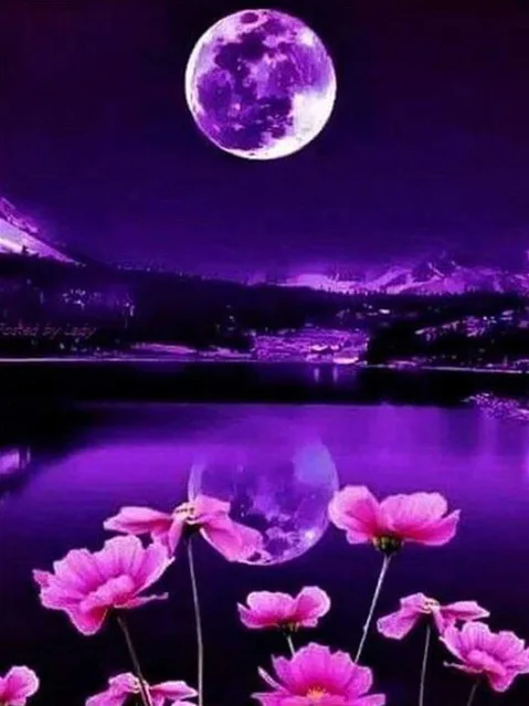 DIY 5d Full Drill  Diamond Painting Purple Sky Night  Moon Tree Flower Diamond Painting for Home Decor