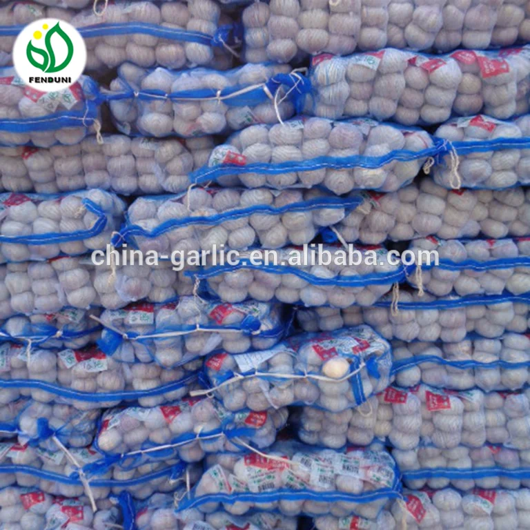 1/2LB fresh garlic normal white garlic 4 pcs