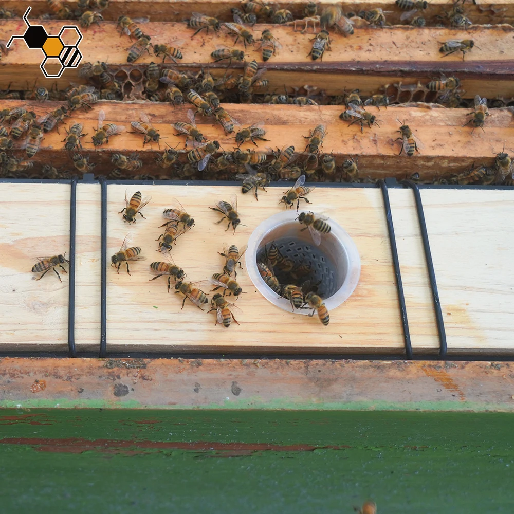 Beekeeping equipment beehive frame 6.5L liter bees plastic inner feeder