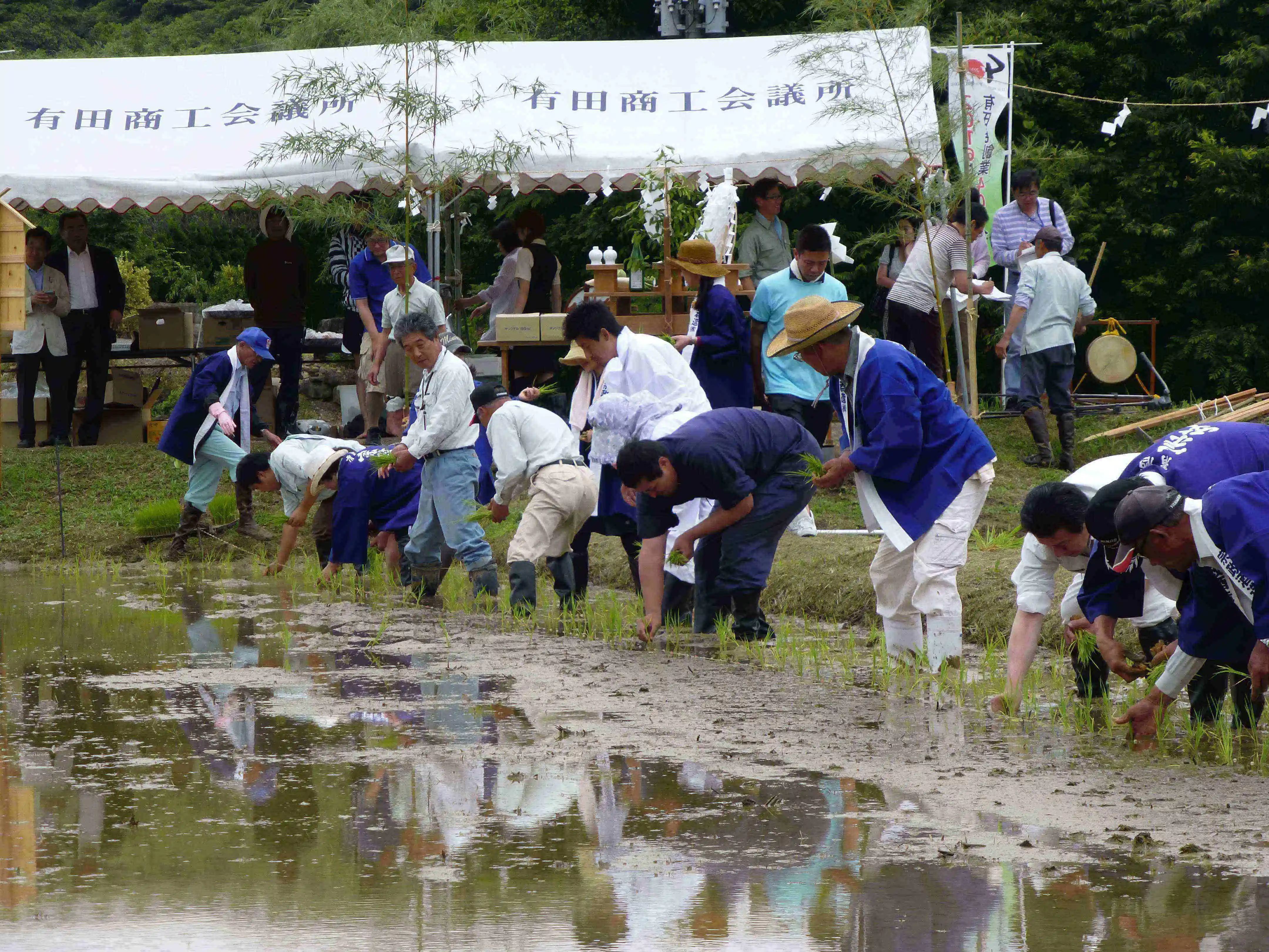 Японские бутылки сакэ на 15% алкоголя питьевые рисовые винные
