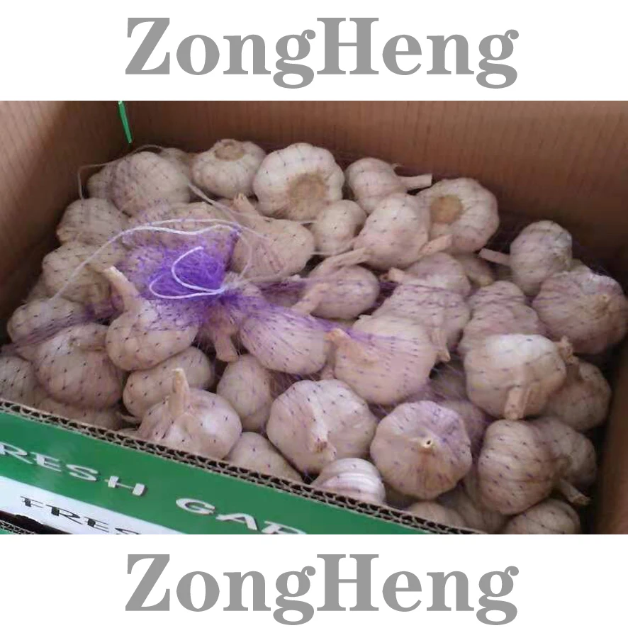 
2020 wholesale cheapest price china garlic 