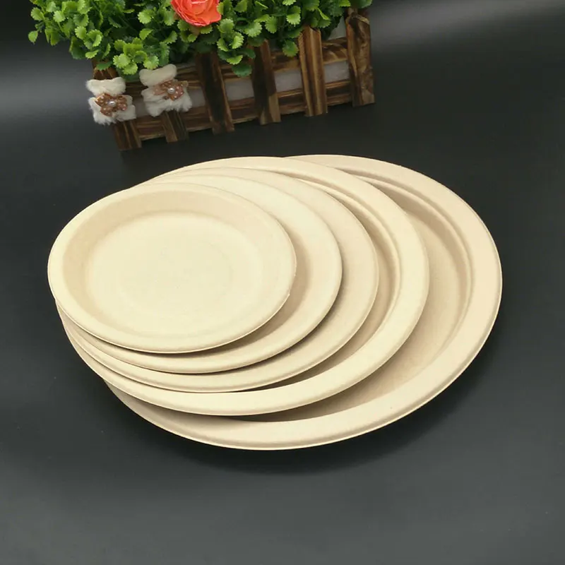 Biodegradable Manufacturer 9 Inch Plates Heat Resistance Microwave Safe Free PFAS 9 Inch Biodegradable Plates