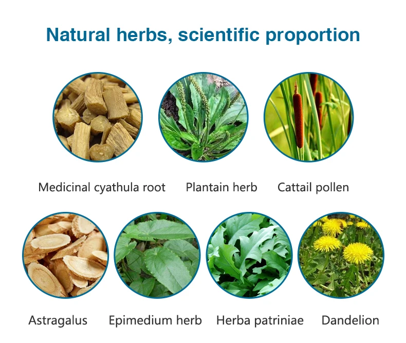 High Quality Prostate Tea For Natural Organic Herbs Prostatitis Tea Promotes Healthy Prostate With Box Bag Packaging