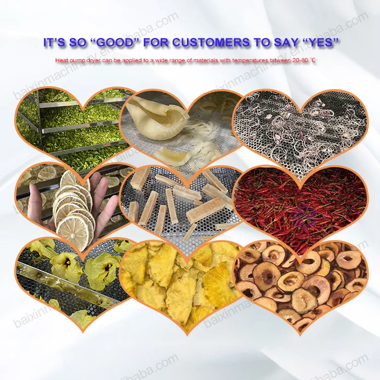 Hot selling 304 stainless steel pitaya dryer vegetable heat pump dryer coconut drying machine