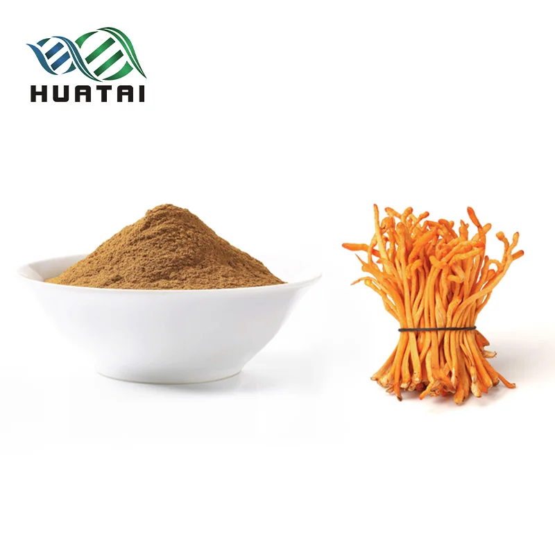 IOS Factory Cordyceps Millitaris Extract Powder 0.3% Cordycepin Powder High Quality
