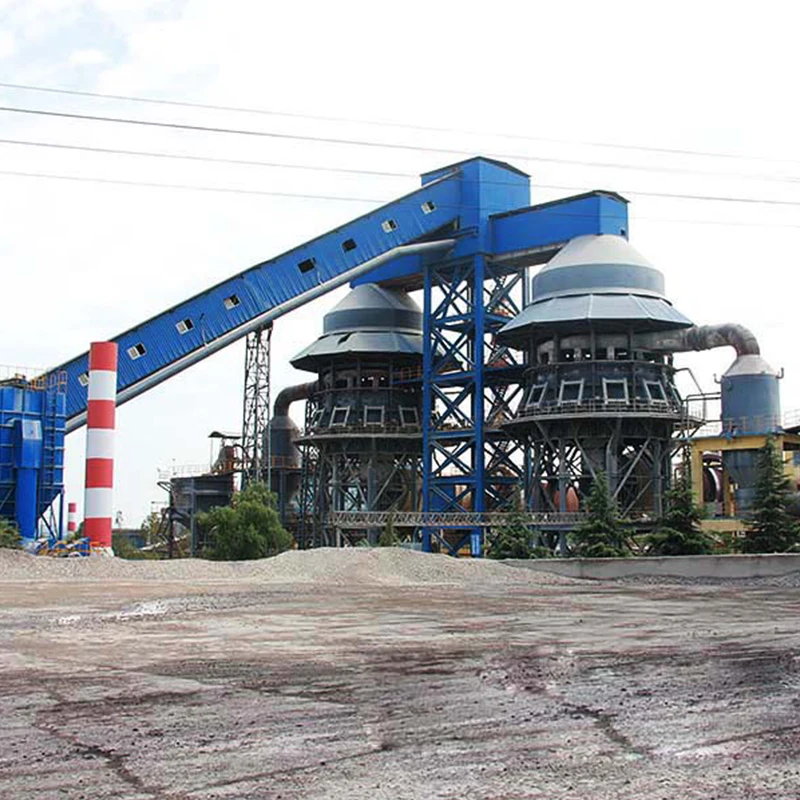 50TPD Calcium Carbonate Processing Plant Price 100-1200TPD Quick Lime Hydrated Lime Plant with ISO CE Certification