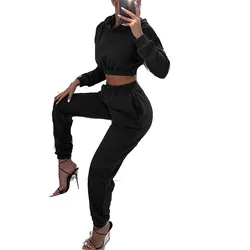 Casual Jogger Sweatsuit 2 Piece Sets  Winter Fleece Two Piece Pants Set Customize Women Jogging Suits