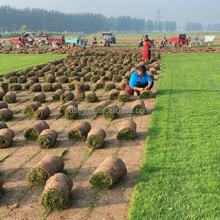 Garden Lawn Mower Artificial Turf Grass Making Machine Lawn Grass SOD Cutter Cutting Machine Grass Turf SOD Cutter Machine