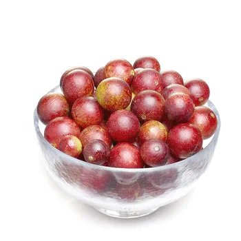 Фрукты и порошок Camu camu