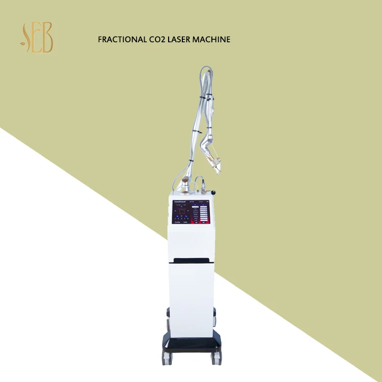 Acne Treatment Pigment Tattoo Removal Stretch Mark Removal Vaginal Tightening Fractional CO2 Laser Machine