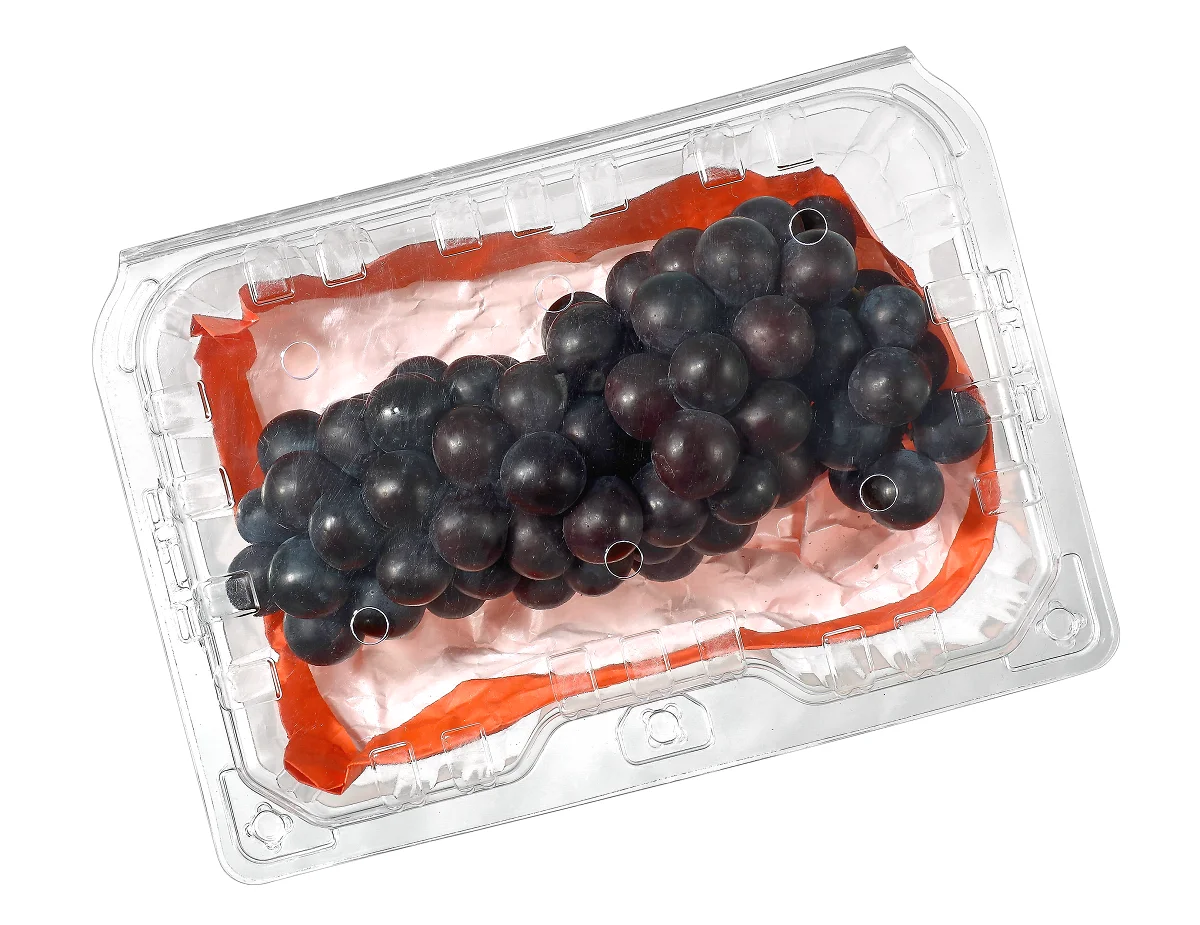 Disposable PET Transparent Clamshell Grape Fruit Packaging Boxes Clear Fruit Plastic Blister fruit hinged container