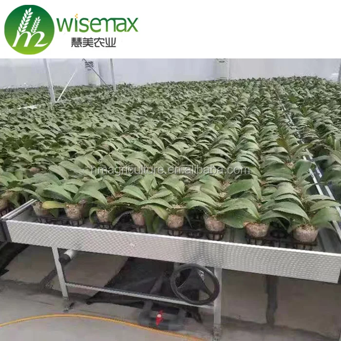 Hydroponics plastic growing table seeding bed casters rolling benches