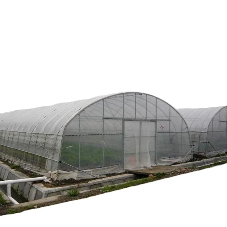 In Stock Fast delivery Commercial Hydroponic Plastic Film Green House Holland greenhouse tunnel plastic greenhouses for sale
