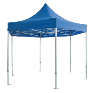 3X3X3m Hexangon Tent Outdoor Luxury Advertising Trade Show Party Wedding Glamping Folding Tent Gazebo