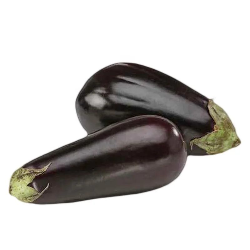 
High Yield Heat Resistance Melongena aubergine brinjaul Eggplant seeds F1 Hybrid 