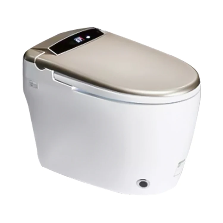 Custom Home Industries Construction Real Estate Bathroom Equipment Ceramic Intelligent Toilet