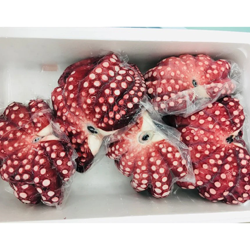 Оригинальный вкус Umami, 10 кг, замороженные морепродукты octopus для суши