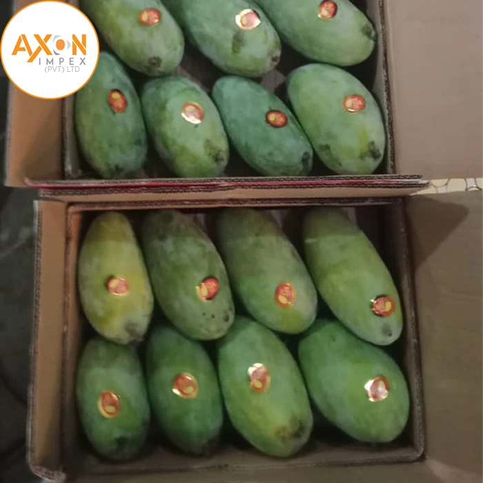 Свежие фермерские манго, медовые манго, пакистанские медовые манго